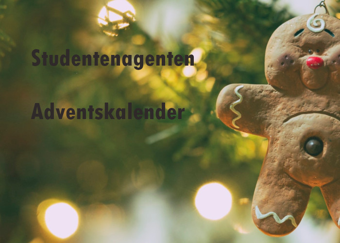 24 Türchen voller Wörter: Der Adventskalender